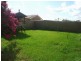 Eschol Park NSW 2558