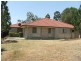 31 Maui Cres, Oxenford QLD 4210