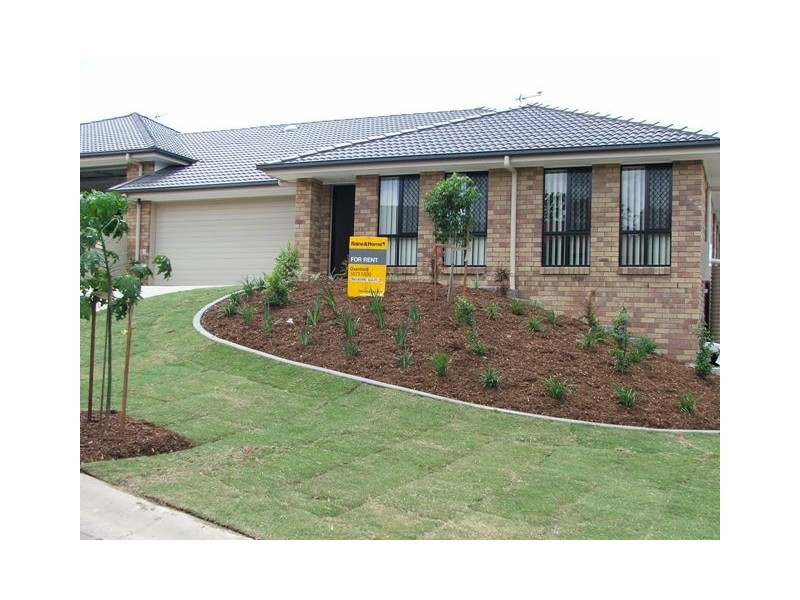 2/13 Silver Sedge Way, Upper Coomera QLD 4209