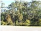 8 Calypso Court, Oxenford QLD 4210