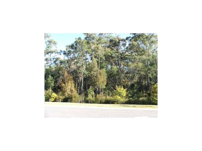 8 Calypso Court, Oxenford QLD 4210