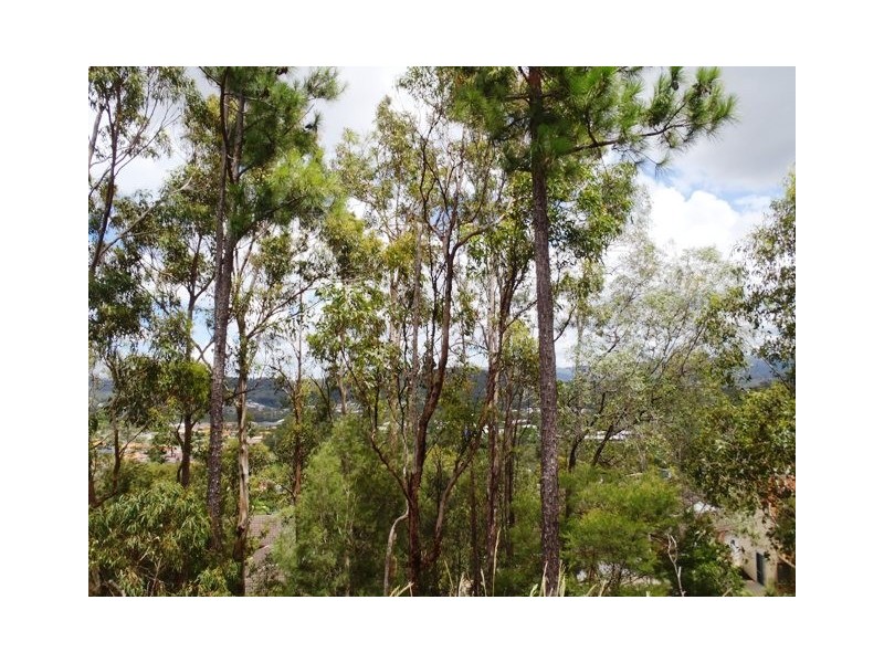 28 Crestridge Crescent, Oxenford QLD 4210