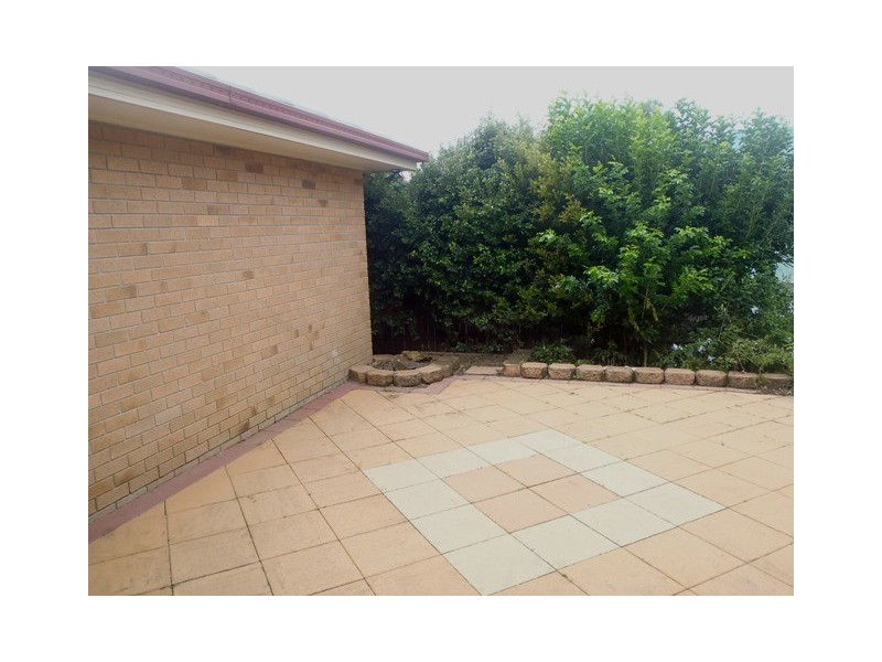 17 Palm Street, Pacific Pines QLD 4211