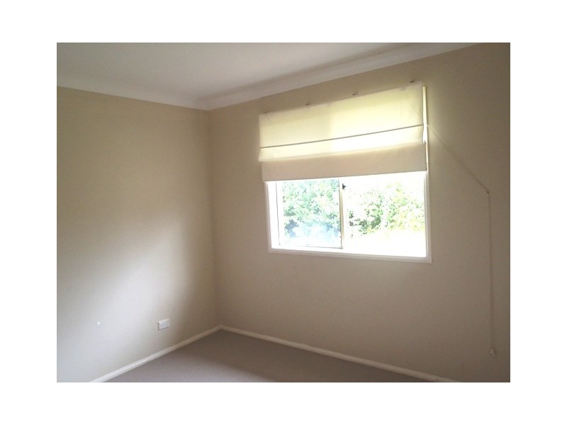 17 Palm Street, Pacific Pines QLD 4211