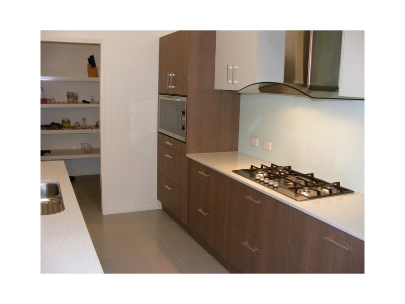 20 Saddle Back Street, Upper Coomera QLD 4209