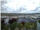 37 Wunburra Circle, Pacific Pines QLD 4211