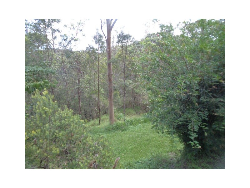 247 Wongawallan Dr, Wongawallan QLD 4210