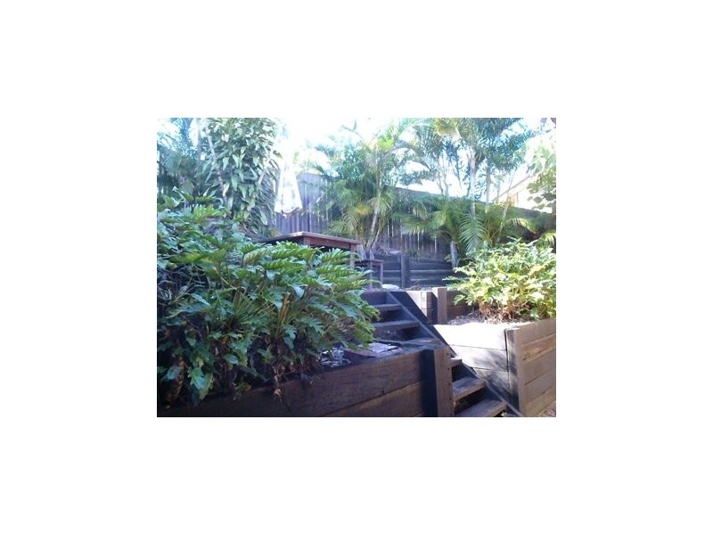 12 Austral Crescent, Pacific Pines QLD 4211