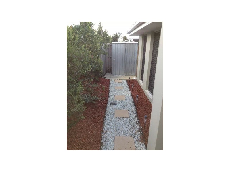 1/14 Argus Place, Pacific Pines QLD 4211