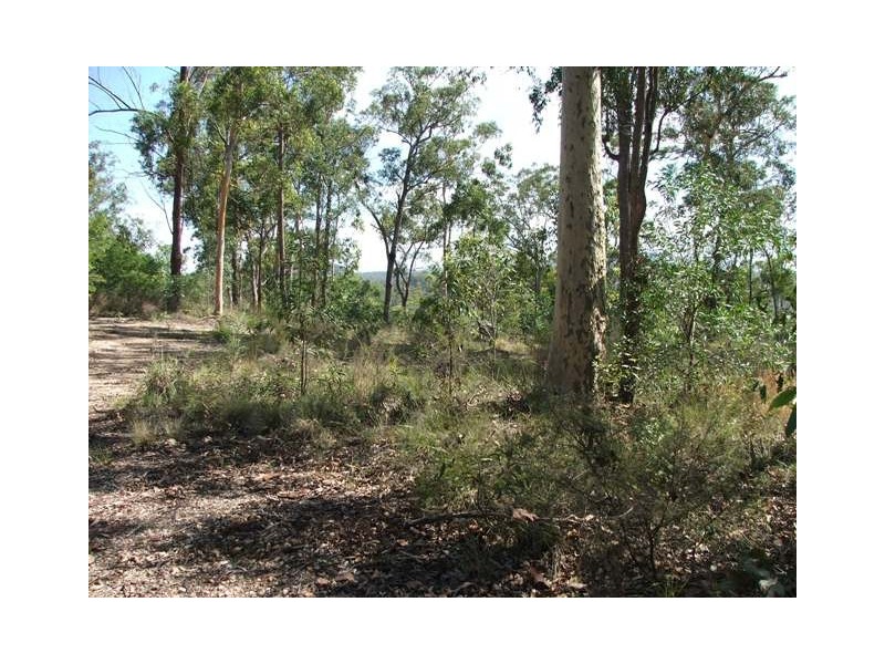 13 Cargellico Street, Maudsland QLD 4210
