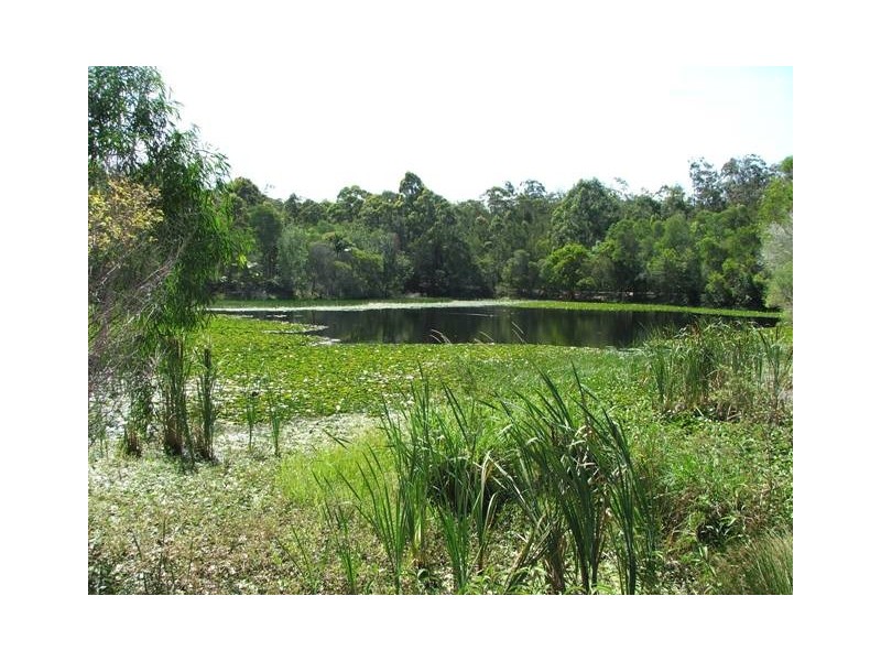 13 Cargellico Street, Maudsland QLD 4210