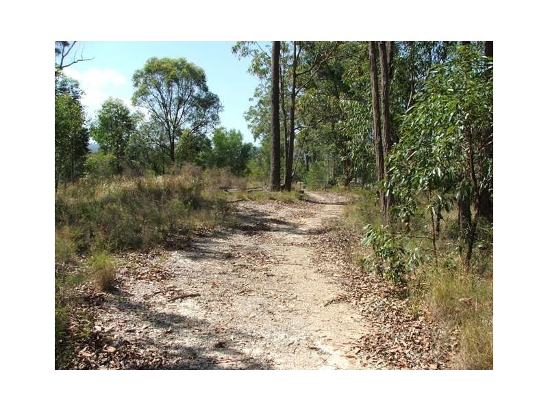 13 Cargellico Street, Maudsland QLD 4210