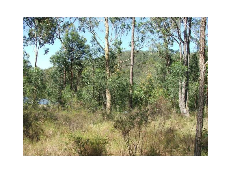 13 Cargellico Street, Maudsland QLD 4210