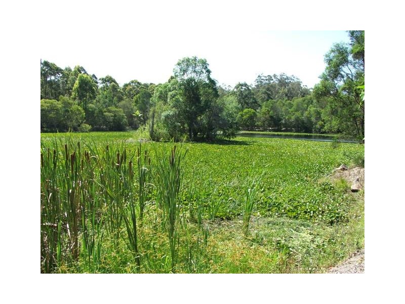 13 Cargellico Street, Maudsland QLD 4210