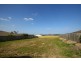 5 Harmsworth Road, Pacific Pines QLD 4211
