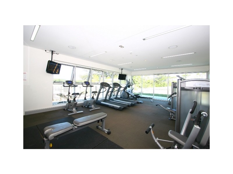 55 Rivermill Terrace, Upper Coomera QLD 4209