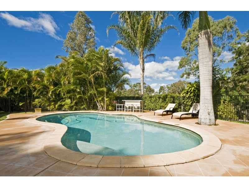 11 Mendooran Court, Oxenford QLD 4210