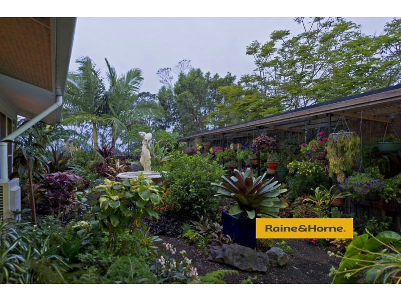 3 Salvado Drive, Pacific Pines QLD 4211