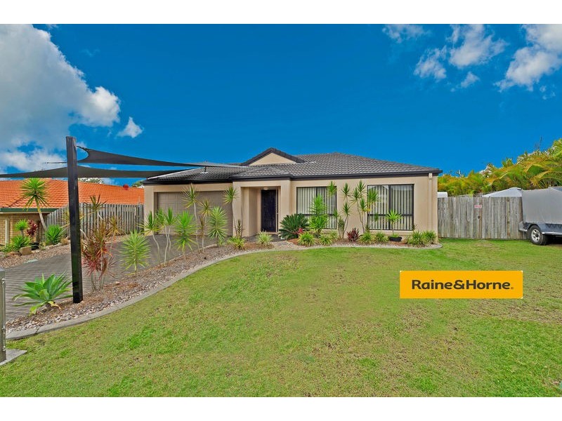 8 Mustang Place, Upper Coomera QLD 4209