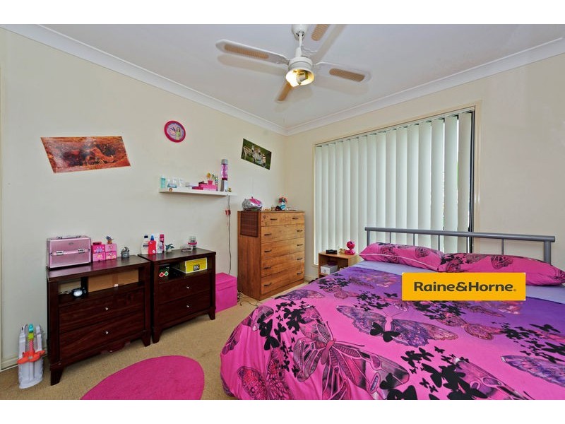 8 Mustang Place, Upper Coomera QLD 4209