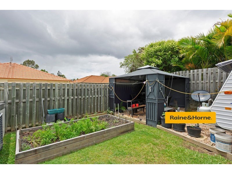 8 Mustang Place, Upper Coomera QLD 4209