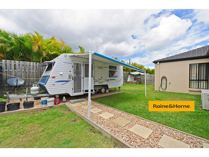 8 Mustang Place, Upper Coomera QLD 4209