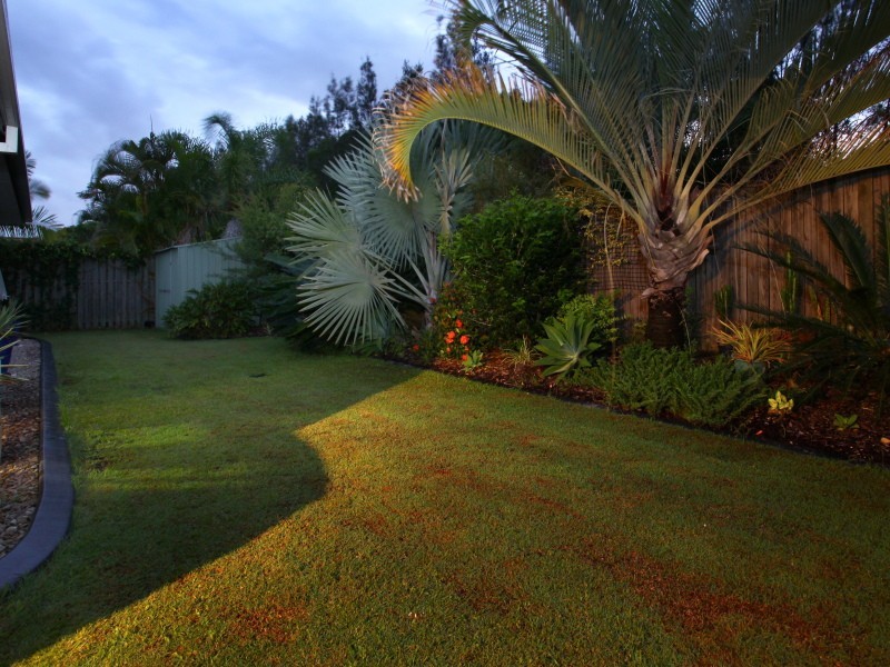 10 Rosswood Court, Helensvale QLD 4212