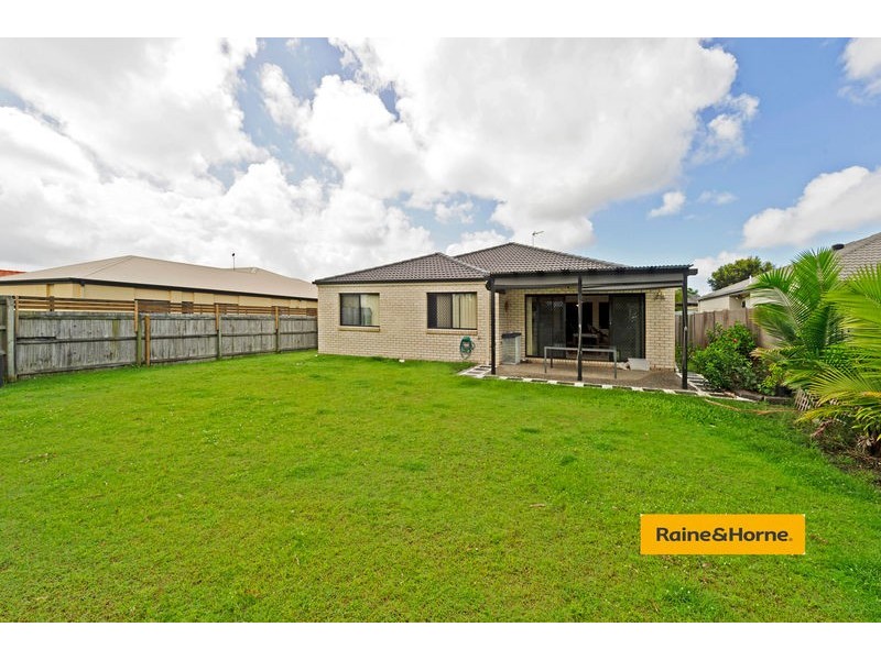 43 Murchison Street, Pacific Pines QLD 4211