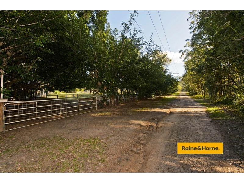 4 Springfield Street, Upper Coomera QLD 4209