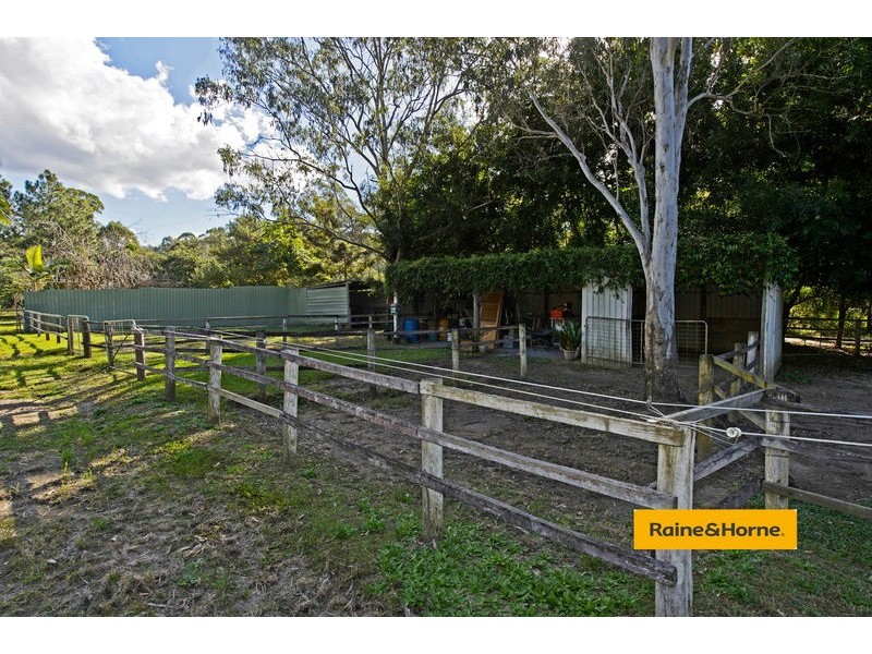 4 Springfield Street, Upper Coomera QLD 4209