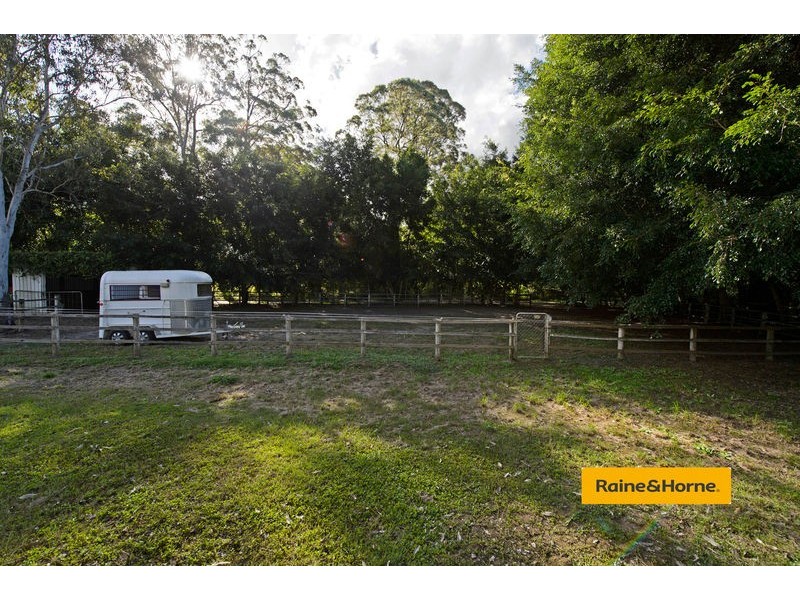 4 Springfield Street, Upper Coomera QLD 4209