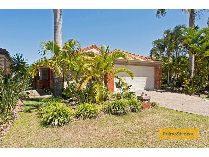 49 Vivacity Drive, Upper Coomera QLD 4209