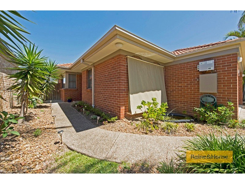 49 Vivacity Drive, Upper Coomera QLD 4209