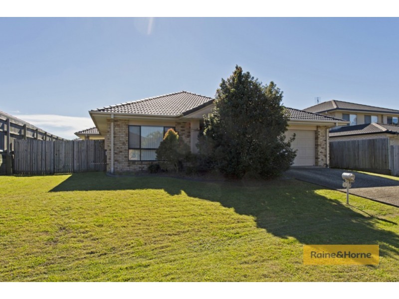 14 Sanderling Street, Upper Coomera QLD 4209