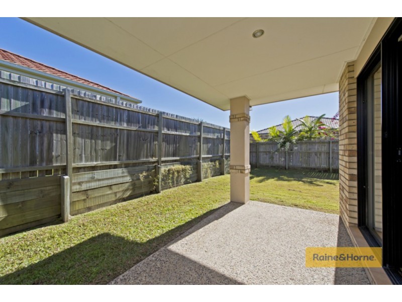 14 Sanderling Street, Upper Coomera QLD 4209