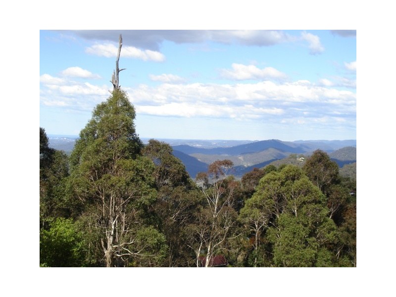 169 Guanaba Road, Tamborine Mountain QLD 4272