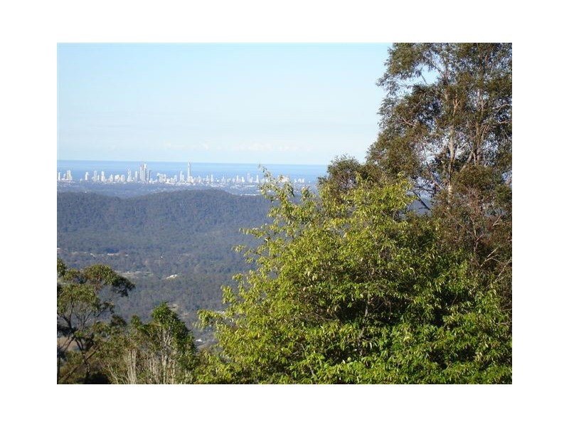 169 Guanaba Road, Tamborine Mountain QLD 4272