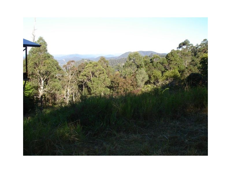 169 Guanaba Road, Tamborine Mountain QLD 4272