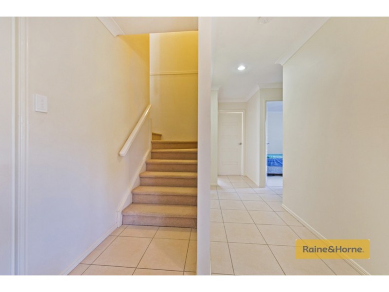 18 Denise Drive, Upper Coomera QLD 4209