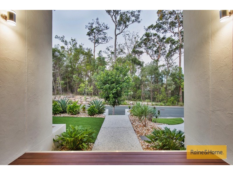 23 Chinaberry Crescent, Upper Coomera QLD 4209