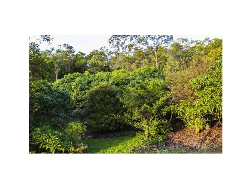 11 Helensvale Road, Helensvale QLD 4212