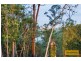 82 River Meadows Drive, Upper Coomera QLD 4209