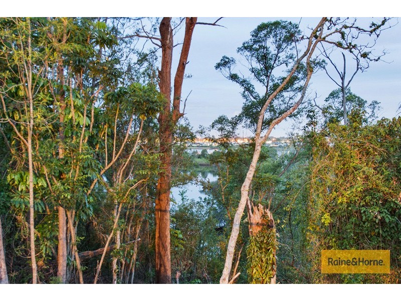 82 River Meadows Drive, Upper Coomera QLD 4209