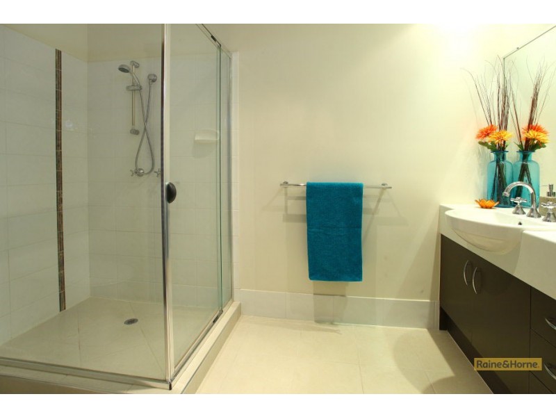 115 Bridie Drive, Upper Coomera QLD 4209