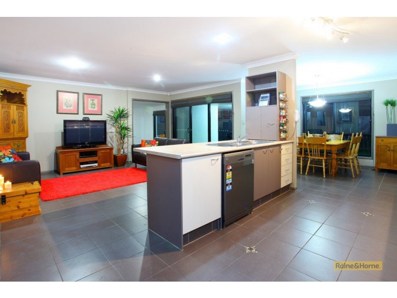 17 Oceanis Drive, Oxenford QLD 4210