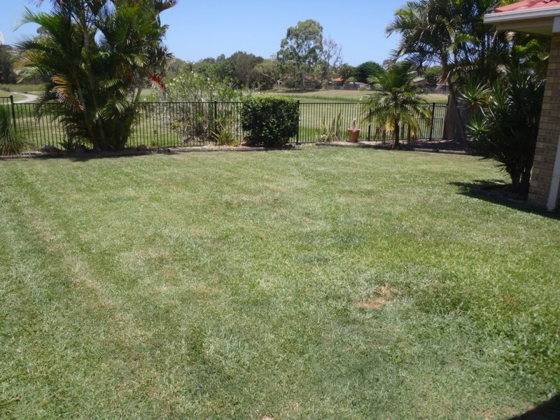 26 Kingaroy Avenue, Helensvale QLD 4212