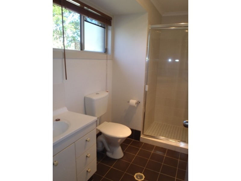 31 Studio Drive, Oxenford QLD 4210