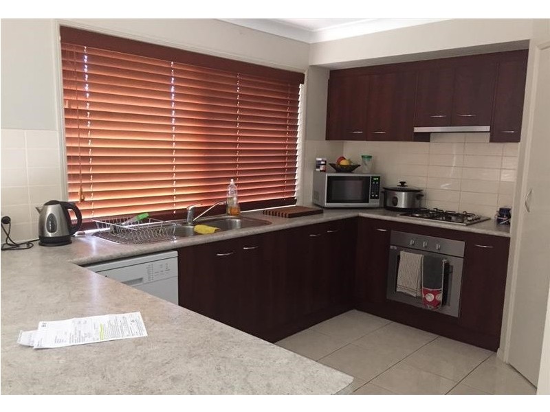 15 Minyon Court, Pacific Pines QLD 4211