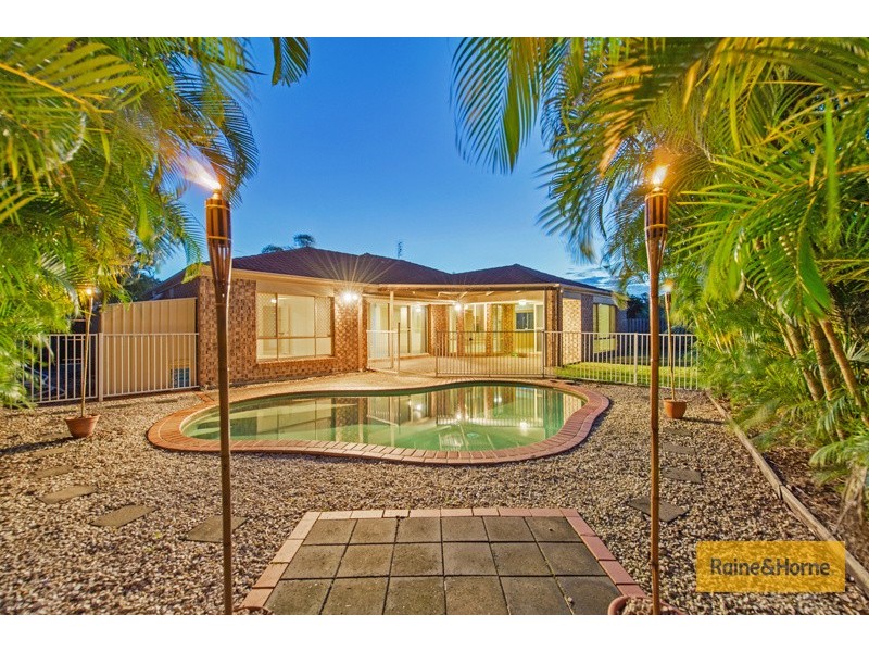 6 Woodbine Court, Parkwood QLD 4214