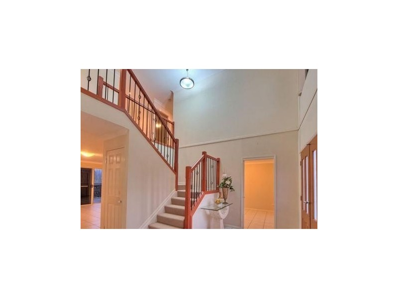 49 White Cedar Cct, Stretton QLD 4116